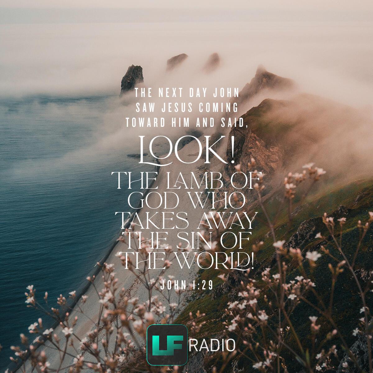 John 1:29 - Verse of the Day