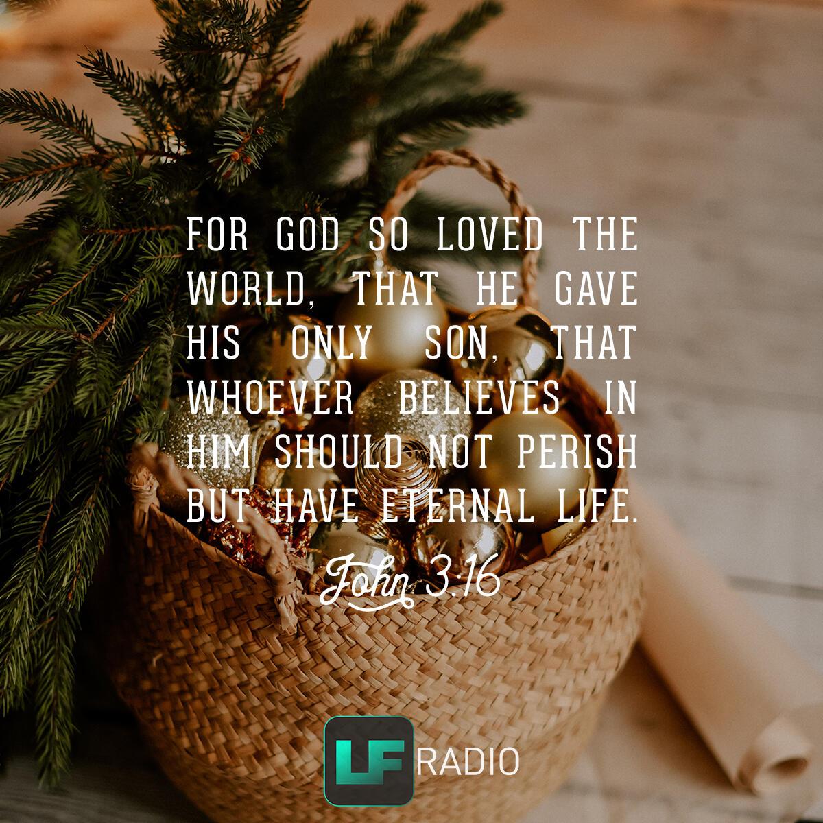 John 3:16 - Verse of the Day