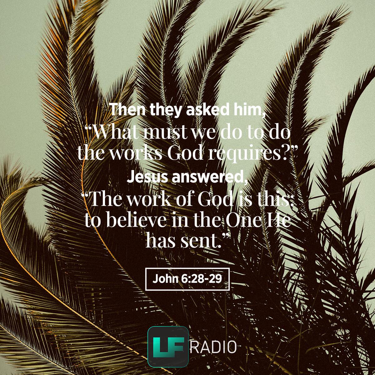 John 6:28-29 - Verse of the Day