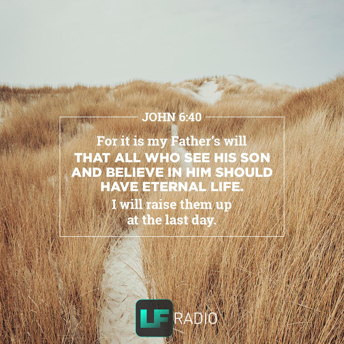 John 6:40 - Verse of the Day