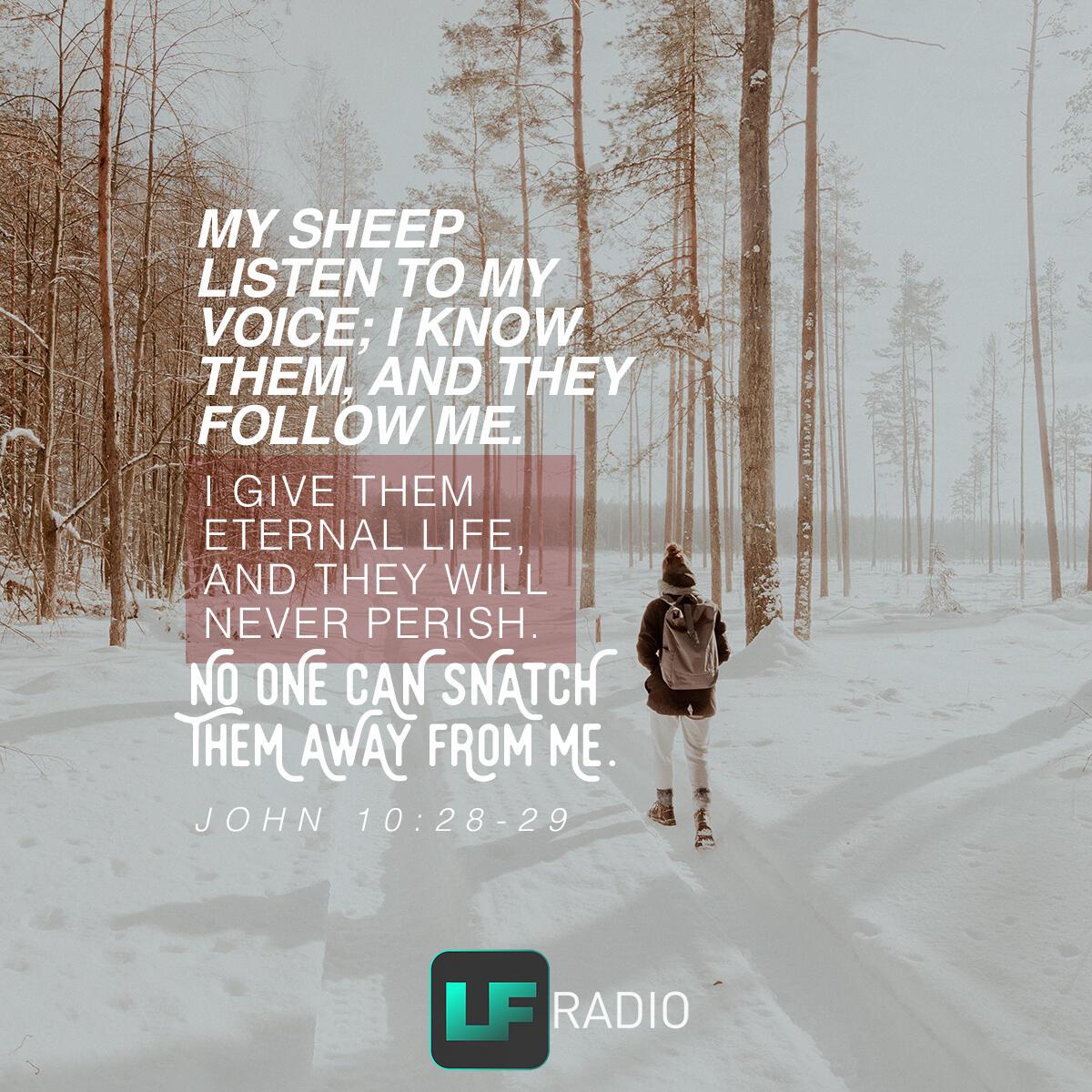 John 10:28-29 - Verse of the Day