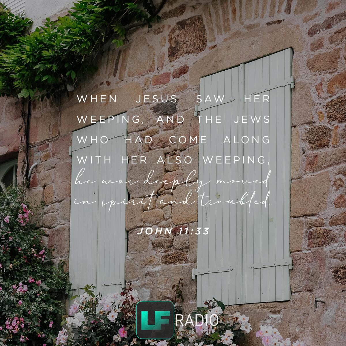 John 11:33 - Verse of the Day