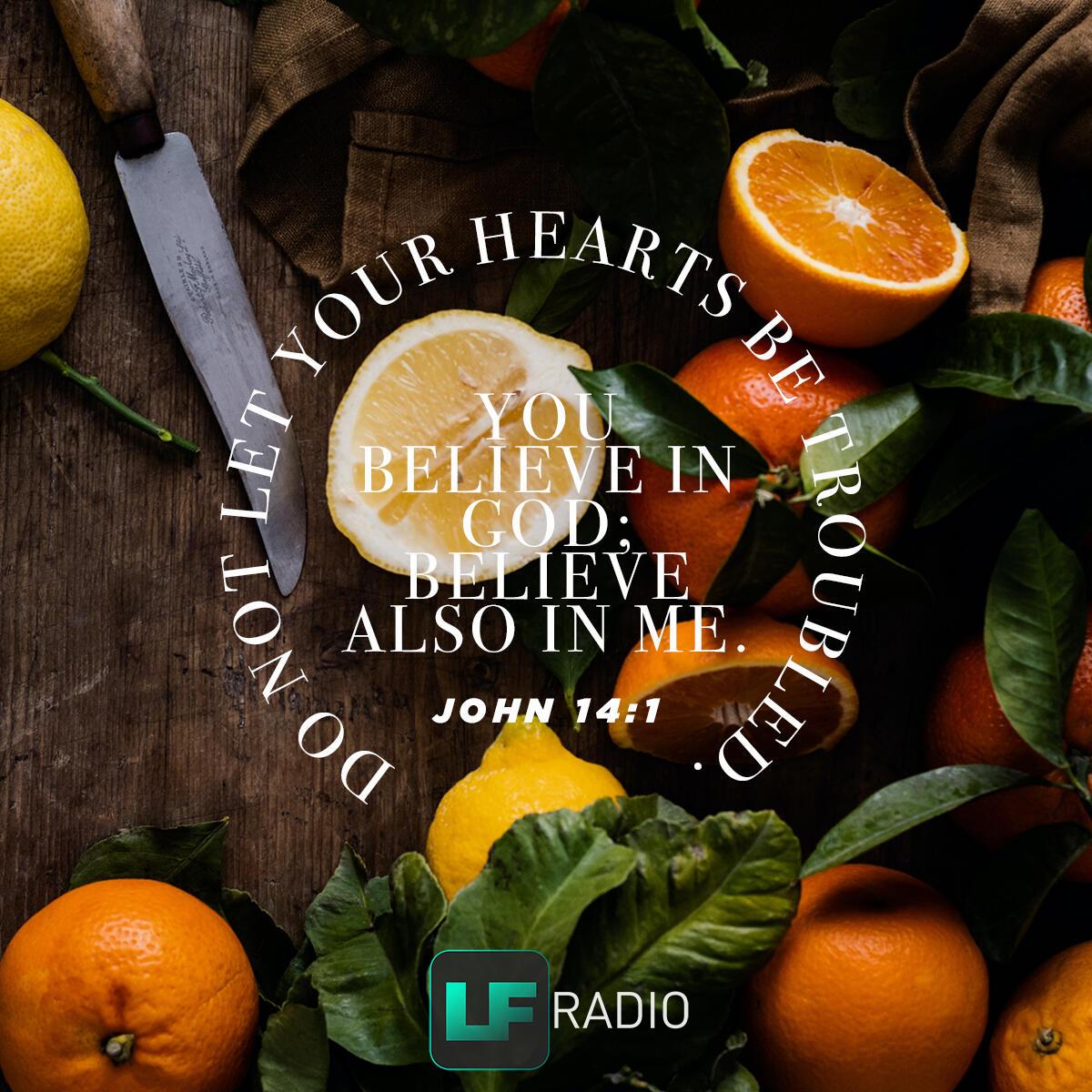 John 14:1 - Verse of the Day