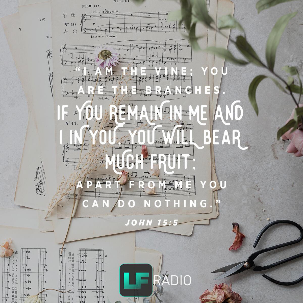 John 15:5 - Verse of the Day