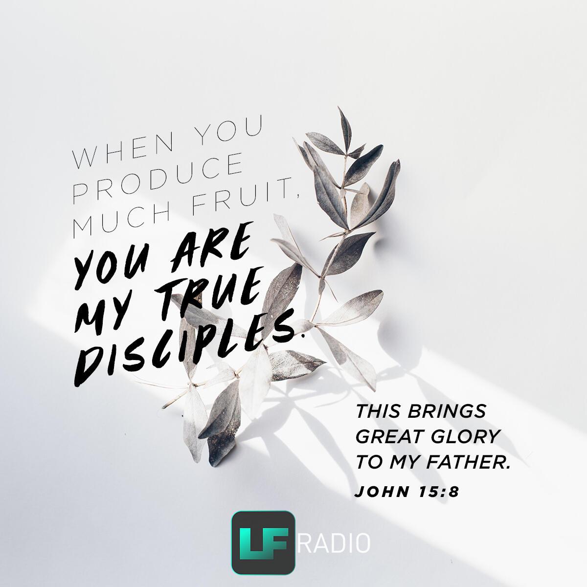 John 15:8 - Verse of the Day