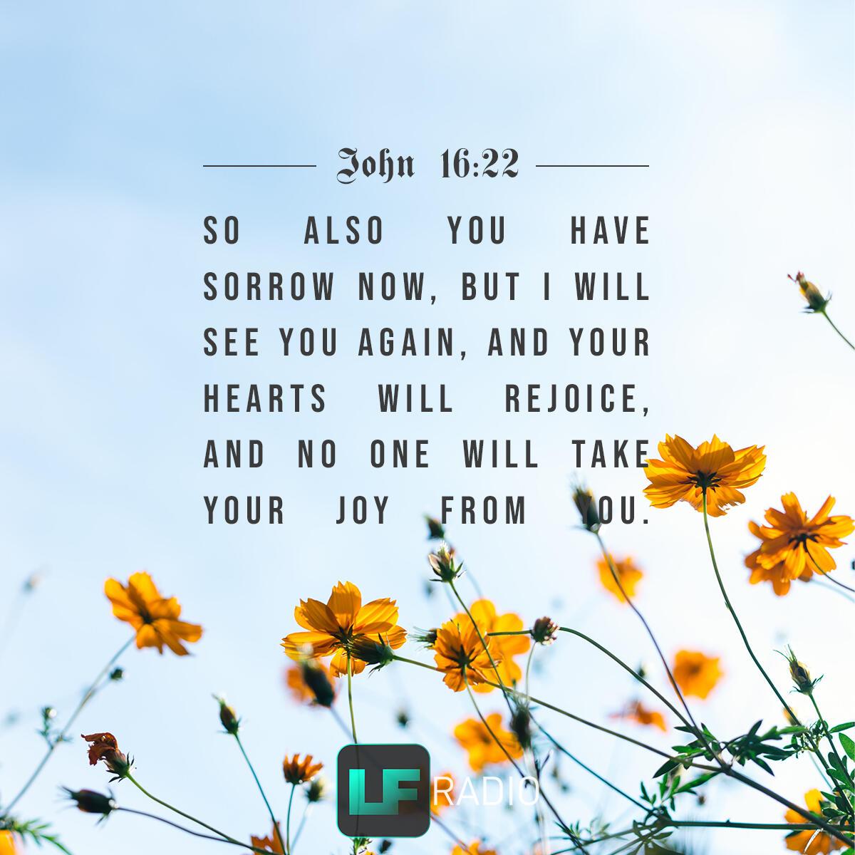 John 16:22 - Verse of the Day