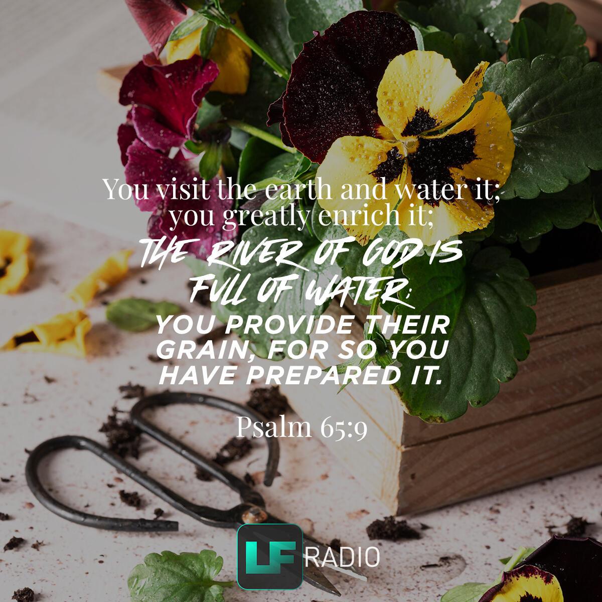 Psalm 65:9 - Verse of the Day
