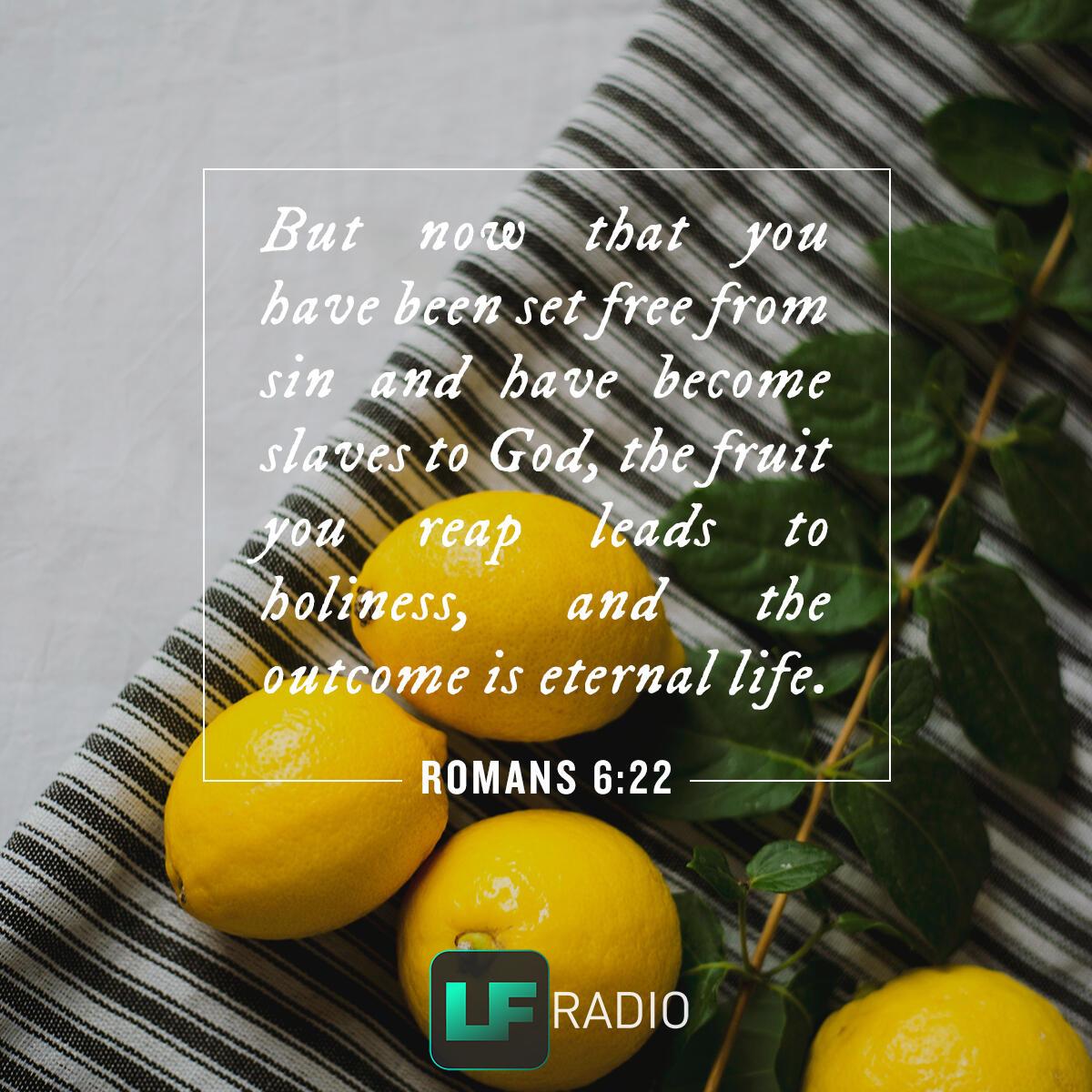 Romans 6:22 - Verse of the Day