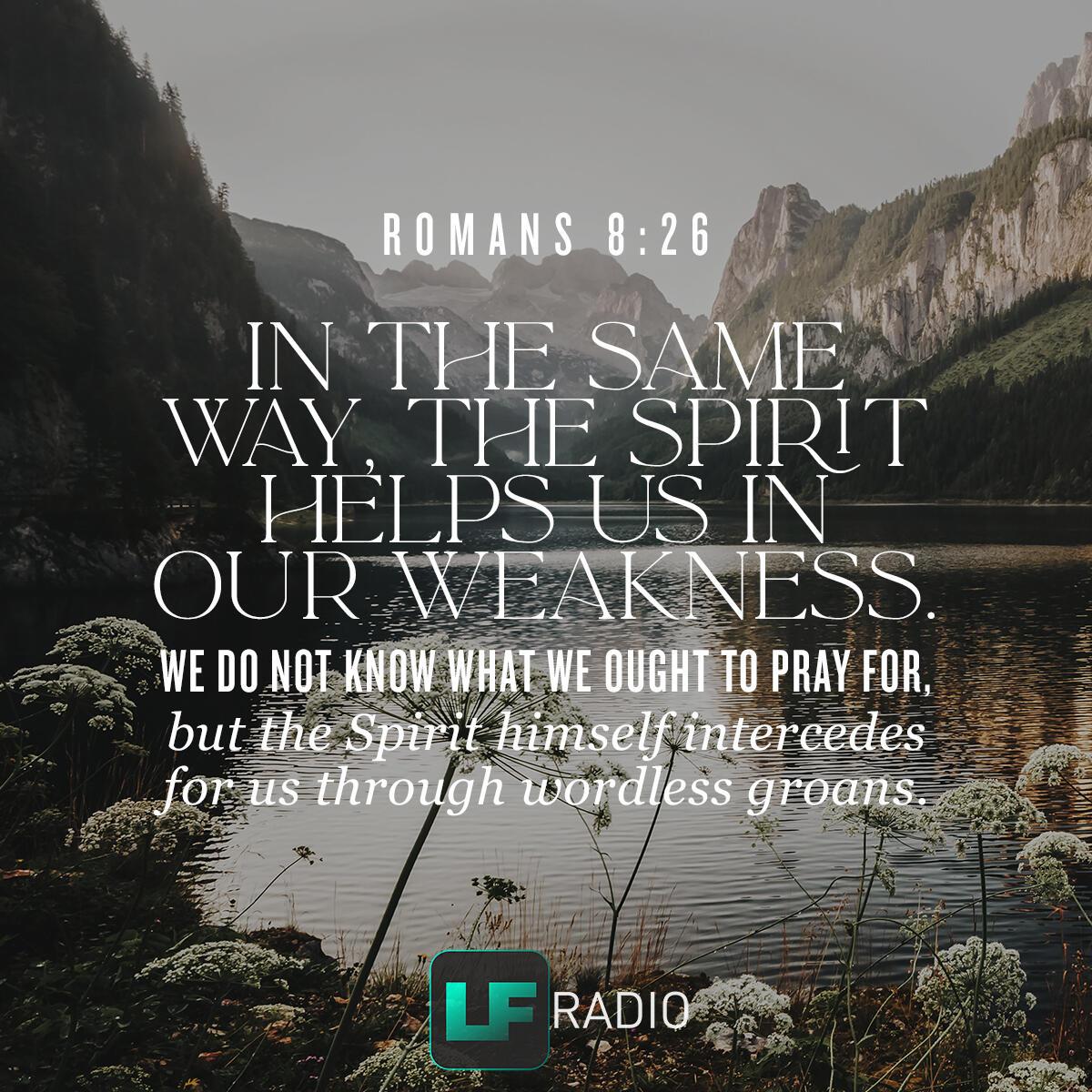 Romans 8:26 - Verse of the Day