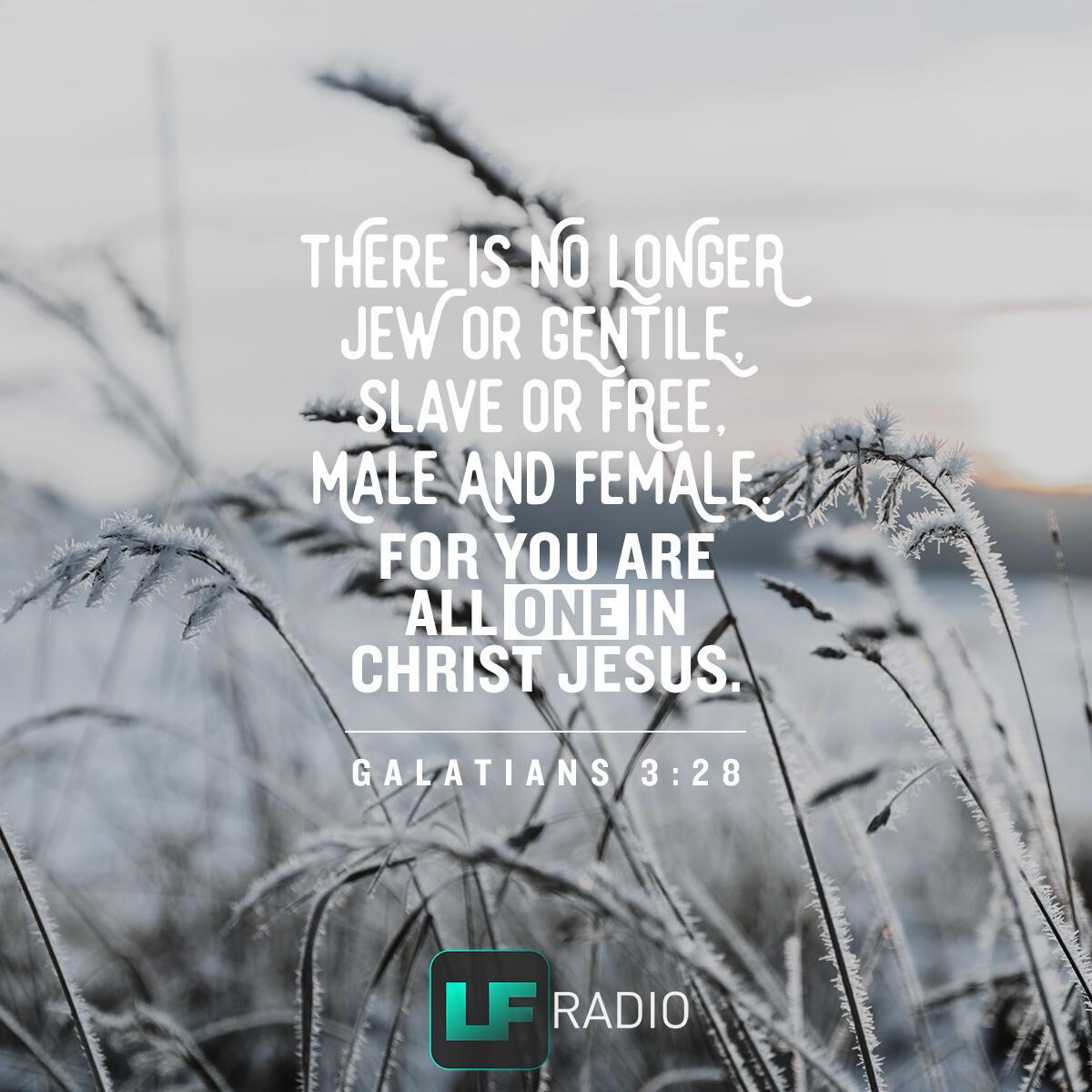 Galatians 3:28 - Verse of the Day