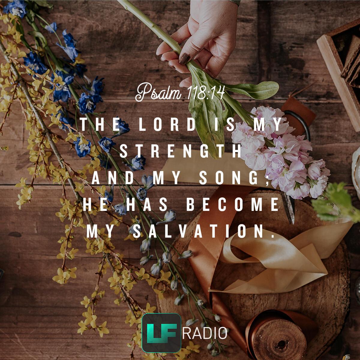 Psalm 118:14 - Verse of the Day
