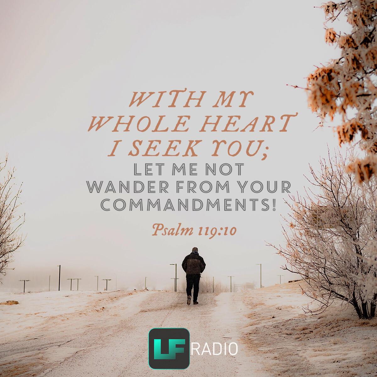 Psalm 119:10 - Verse of the Day