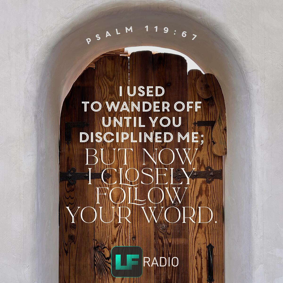 Psalm 119:67 - Verse of the Day