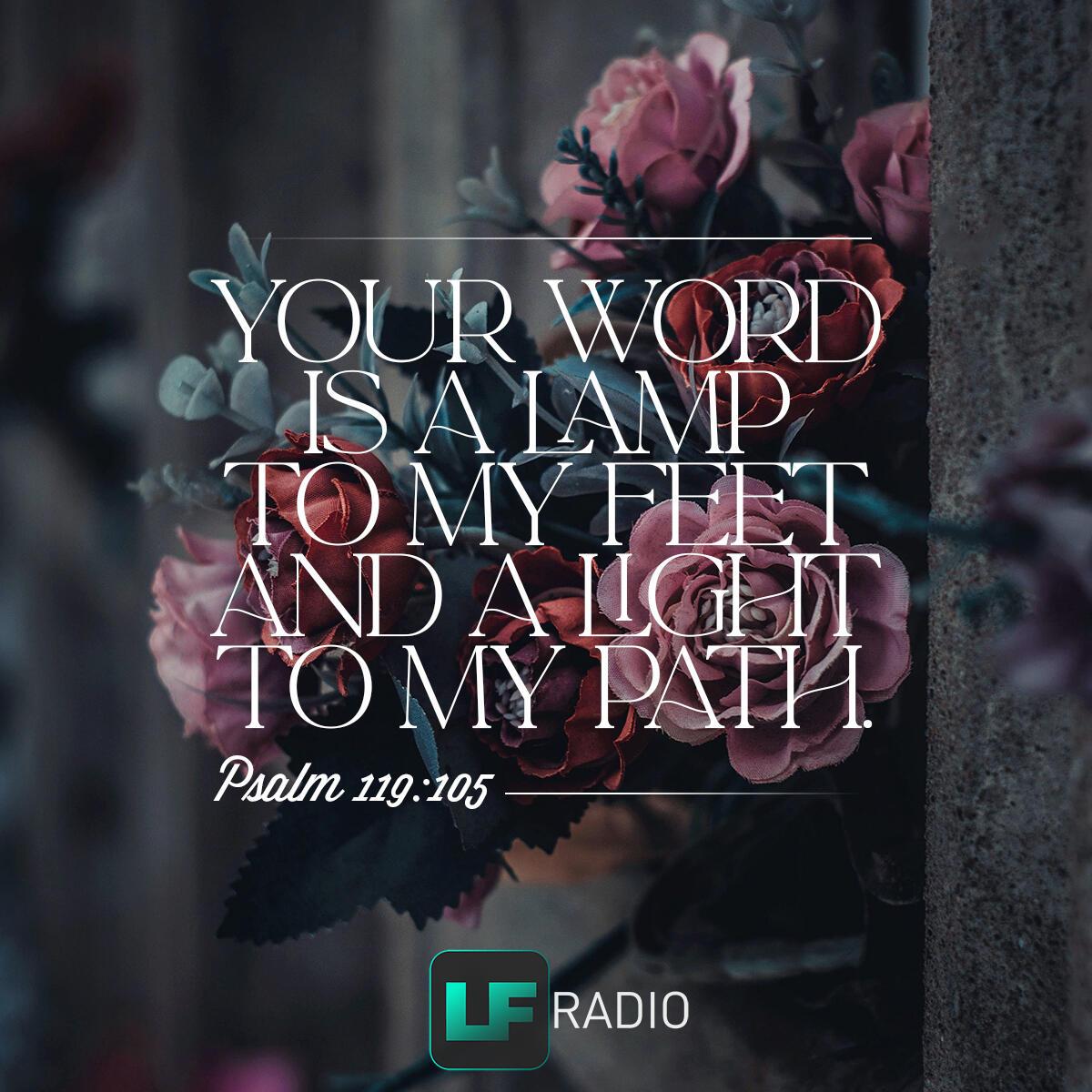 Psalm 119:105 - Verse of the Day