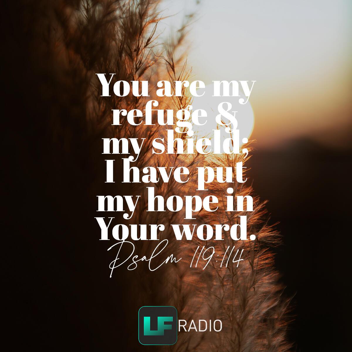 Psalm 119:114 - Verse of the Day