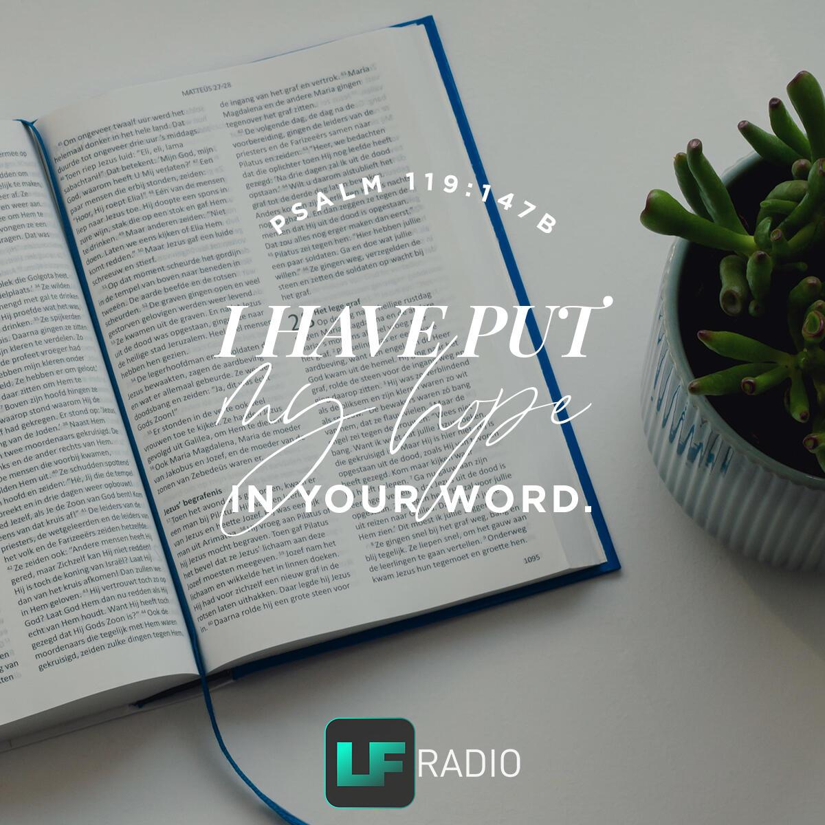 Psalm 119:147b - Verse of the Day