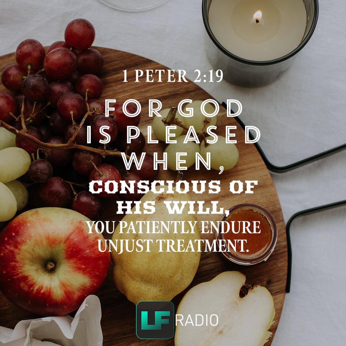 1 Peter 2:19 - Verse of the Day