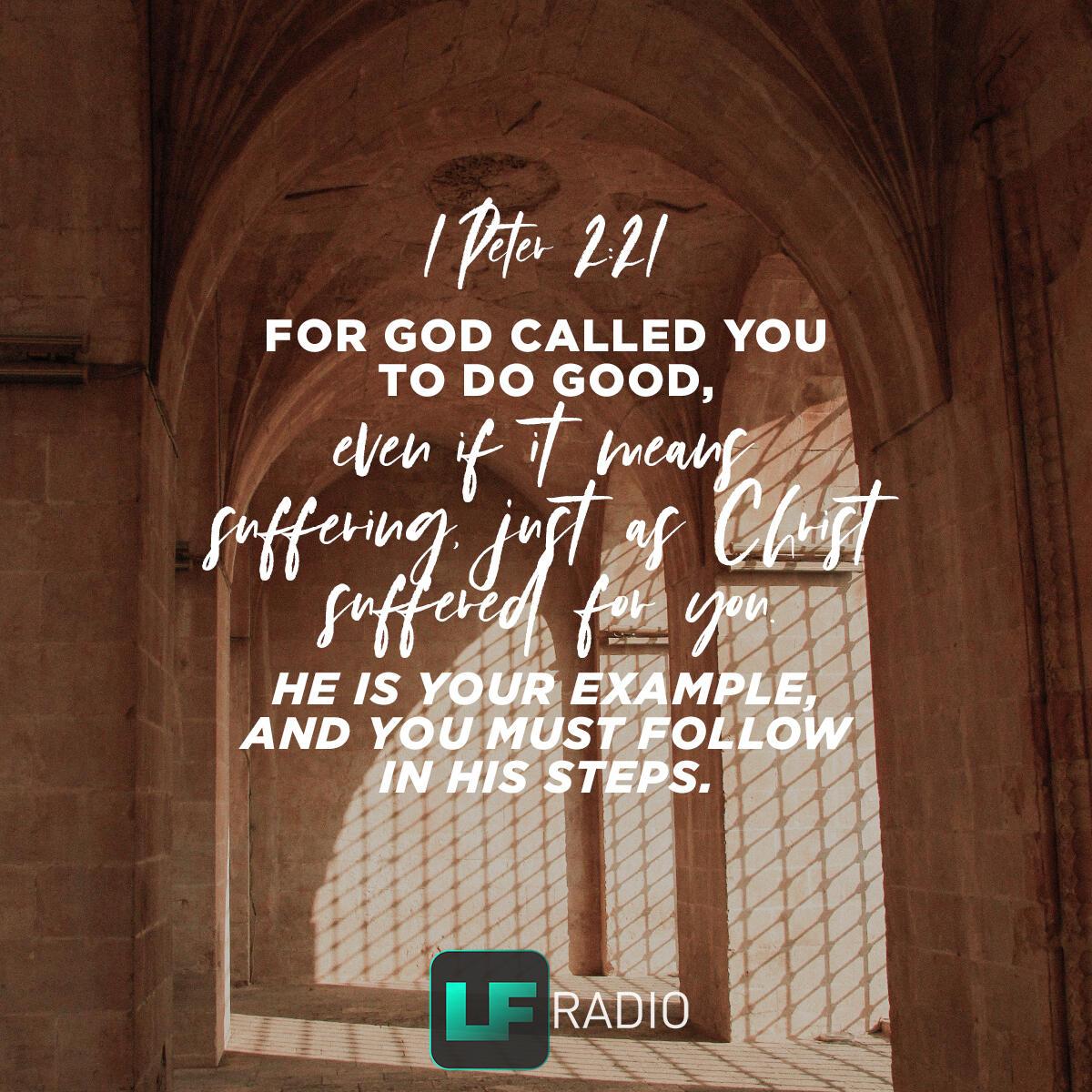 1 Peter 2:21 - Verse of the Day