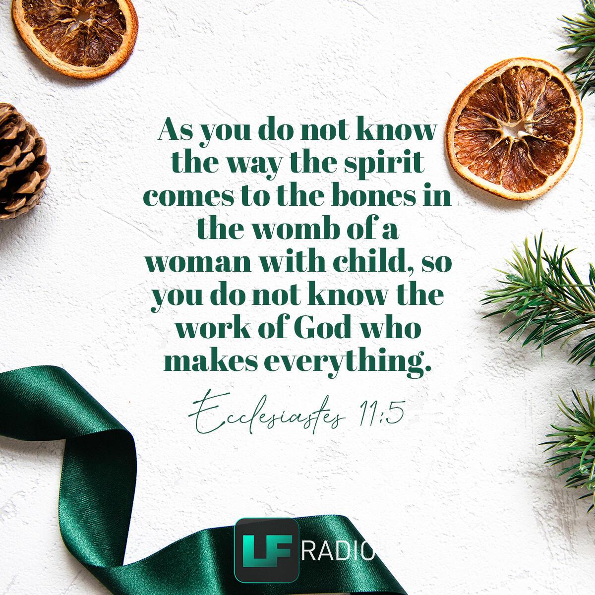 Ecclesiastes 11:5 - Verse of the Day