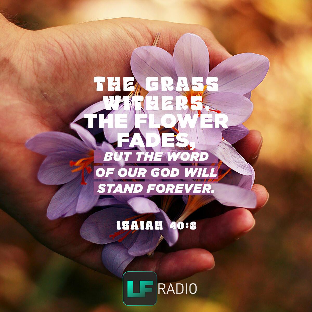 Isaiah 40:8 - Verse of the Day