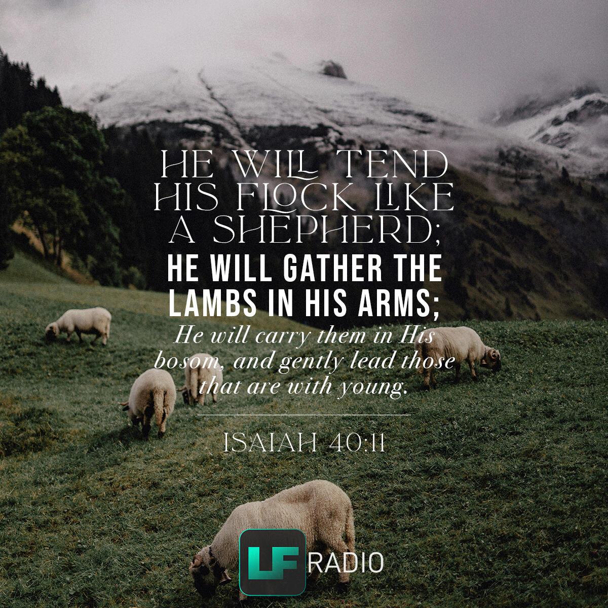Isaiah 40:11 - Verse of the Day