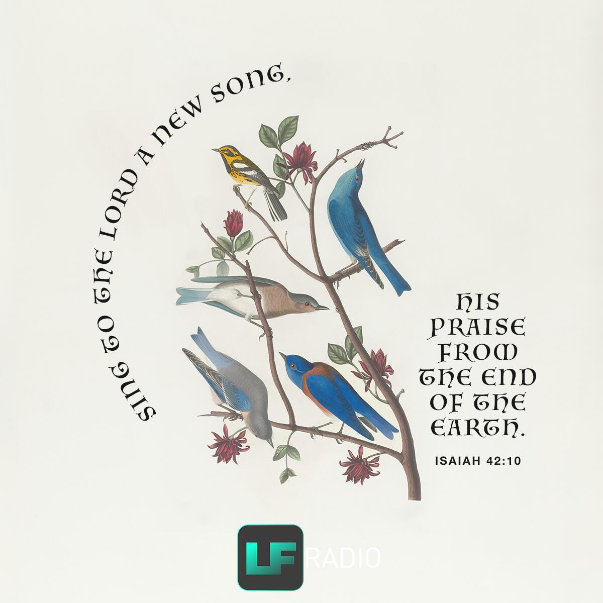 Isaiah 42:10 - Verse of the Day