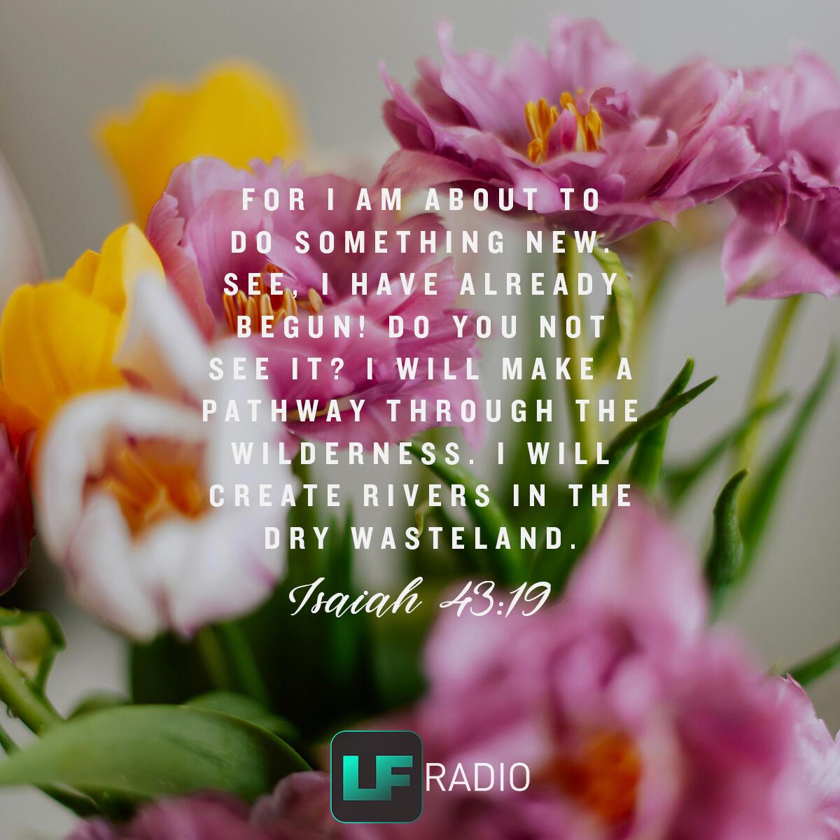 Isaiah 43:19 - Verse of the Day