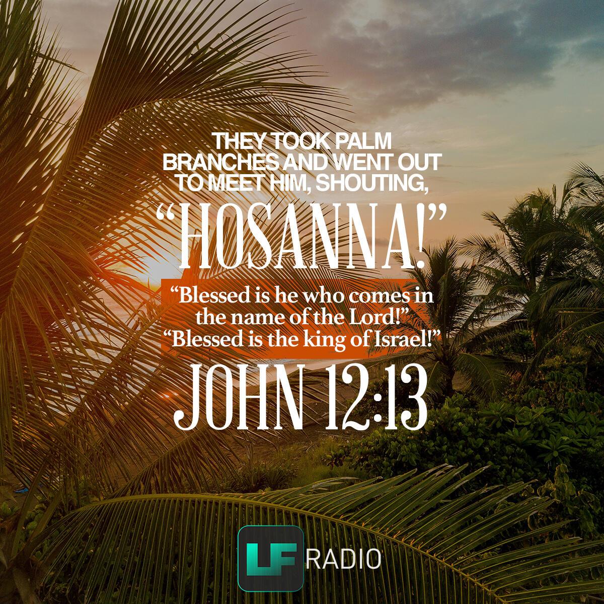 John 12:13 - Verse of the Day