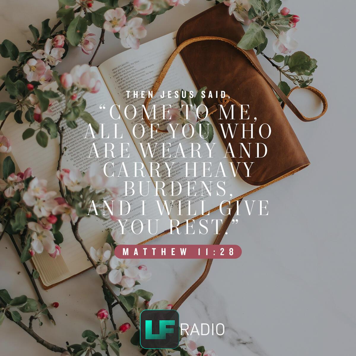 Matthew 11:28 - Verse of the Day
