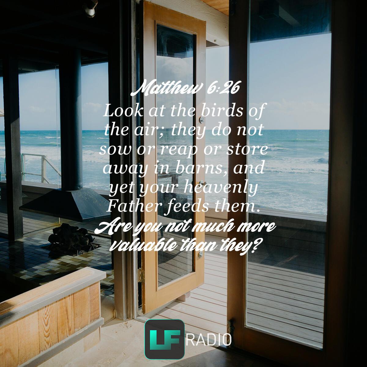 Matthew 6:26 - Verse of the Day