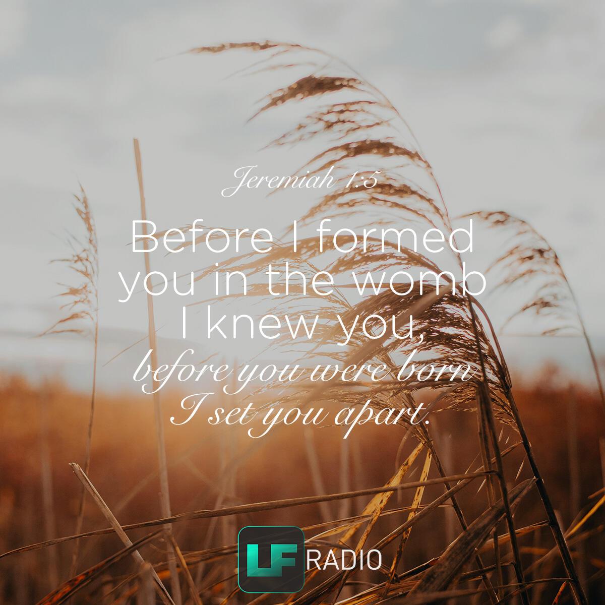 Jeremiah 1:5 - Verse of the Day