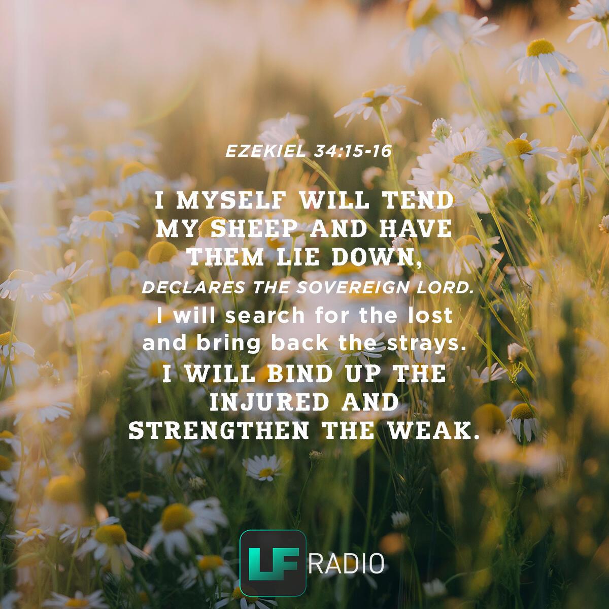 Ezekiel 34:15-16 - Verse of the Day