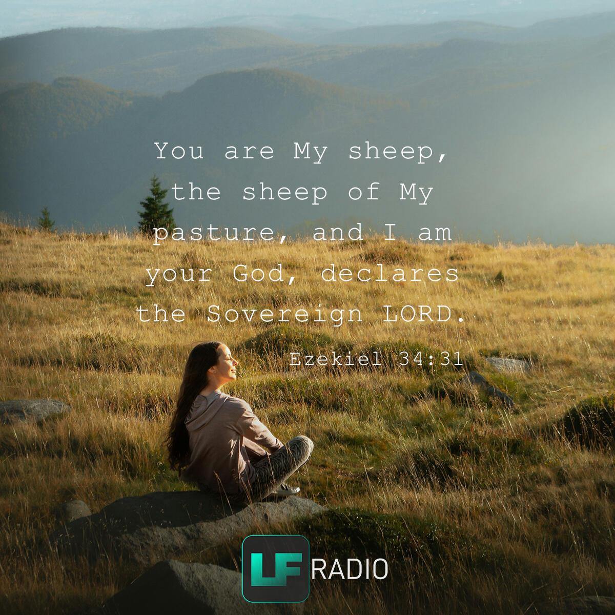 Ezekiel 34:31 - Verse of the Day
