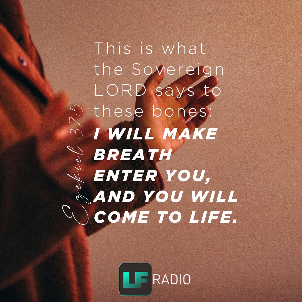 Ezekiel 37:5 - Verse of the Day