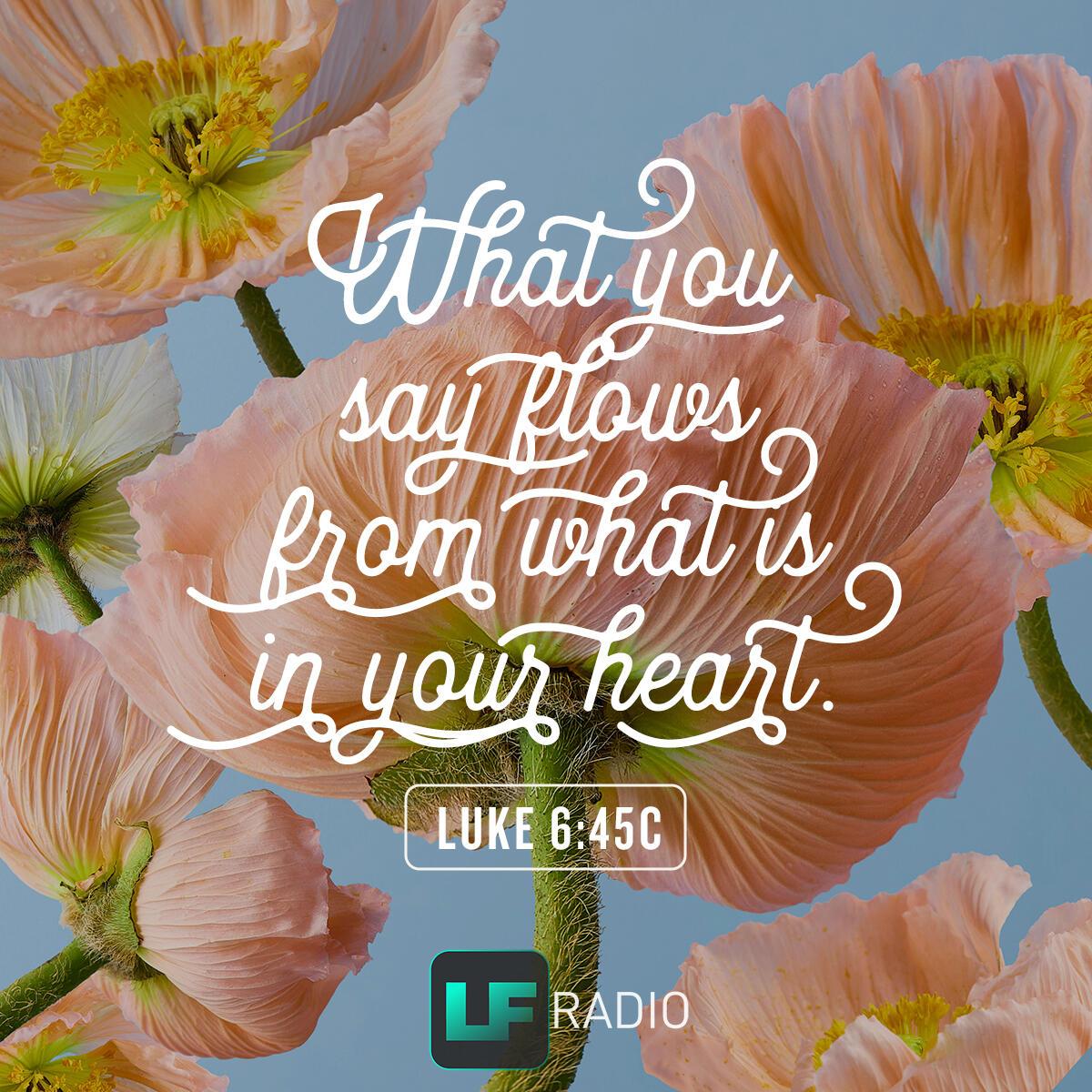 Luke 6:45c - Verse of the Day