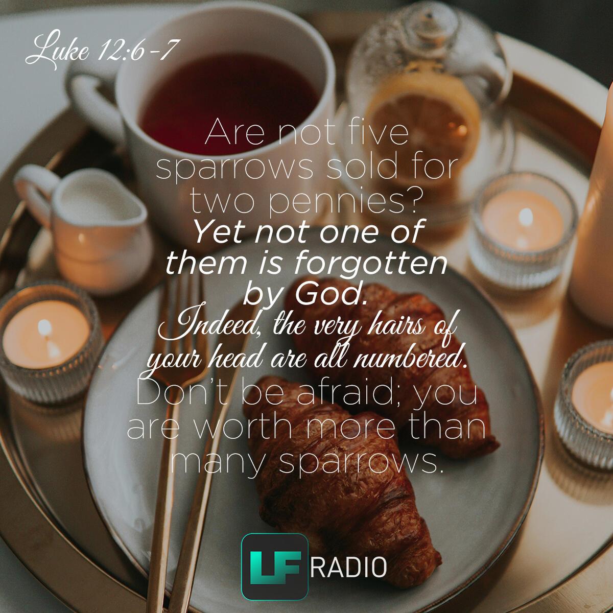Luke 12:6-7 - Verse of the Day