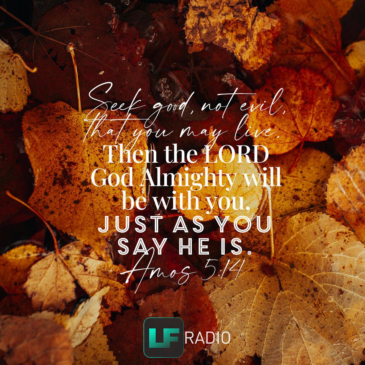 Amos 5:14 - Verse of the Day