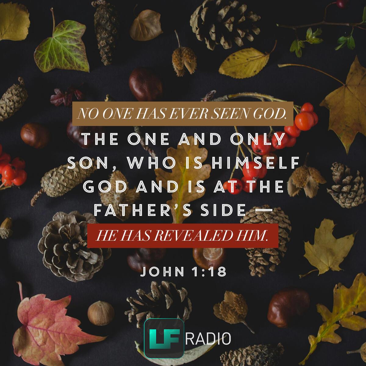 John 1:18 - Verse of the Day
