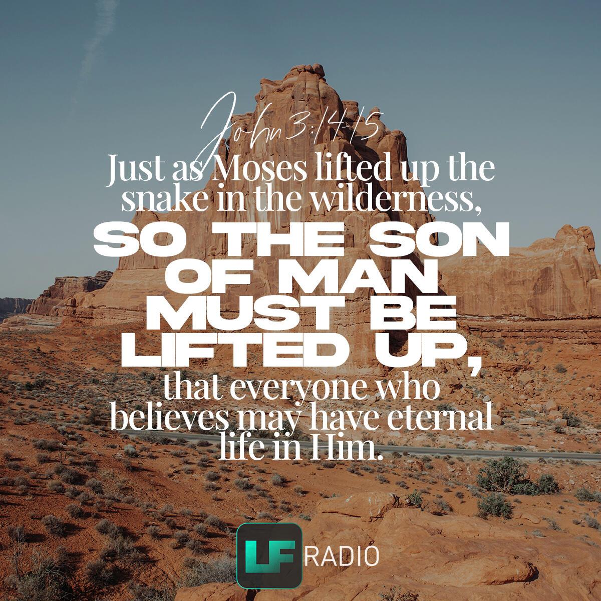 John 3:14-15 - Verse of the Day