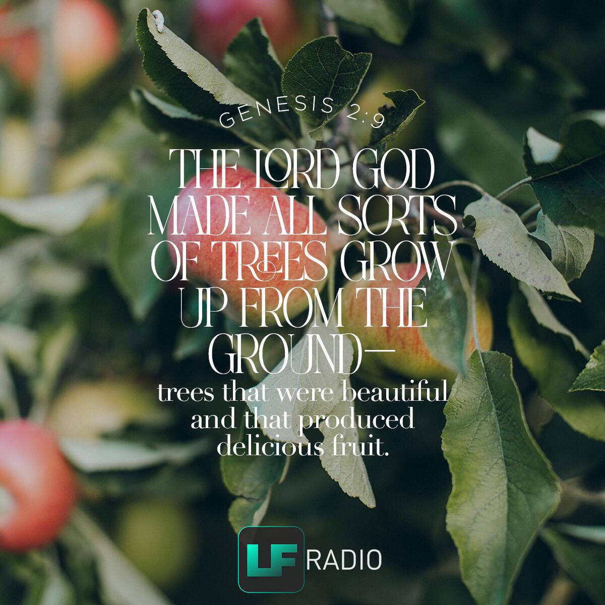 Genesis 2:9 - Verse of the Day