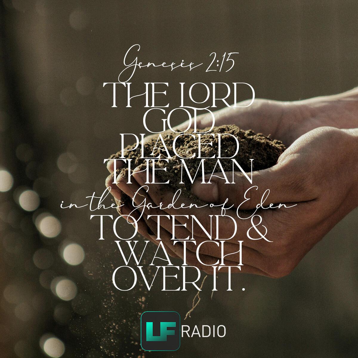 Genesis 2:15 - Verse of the Day