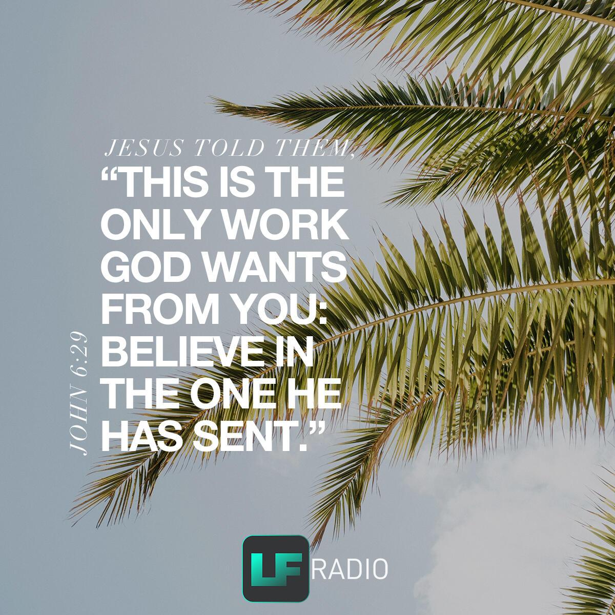 John 6:29 - Verse of the Day