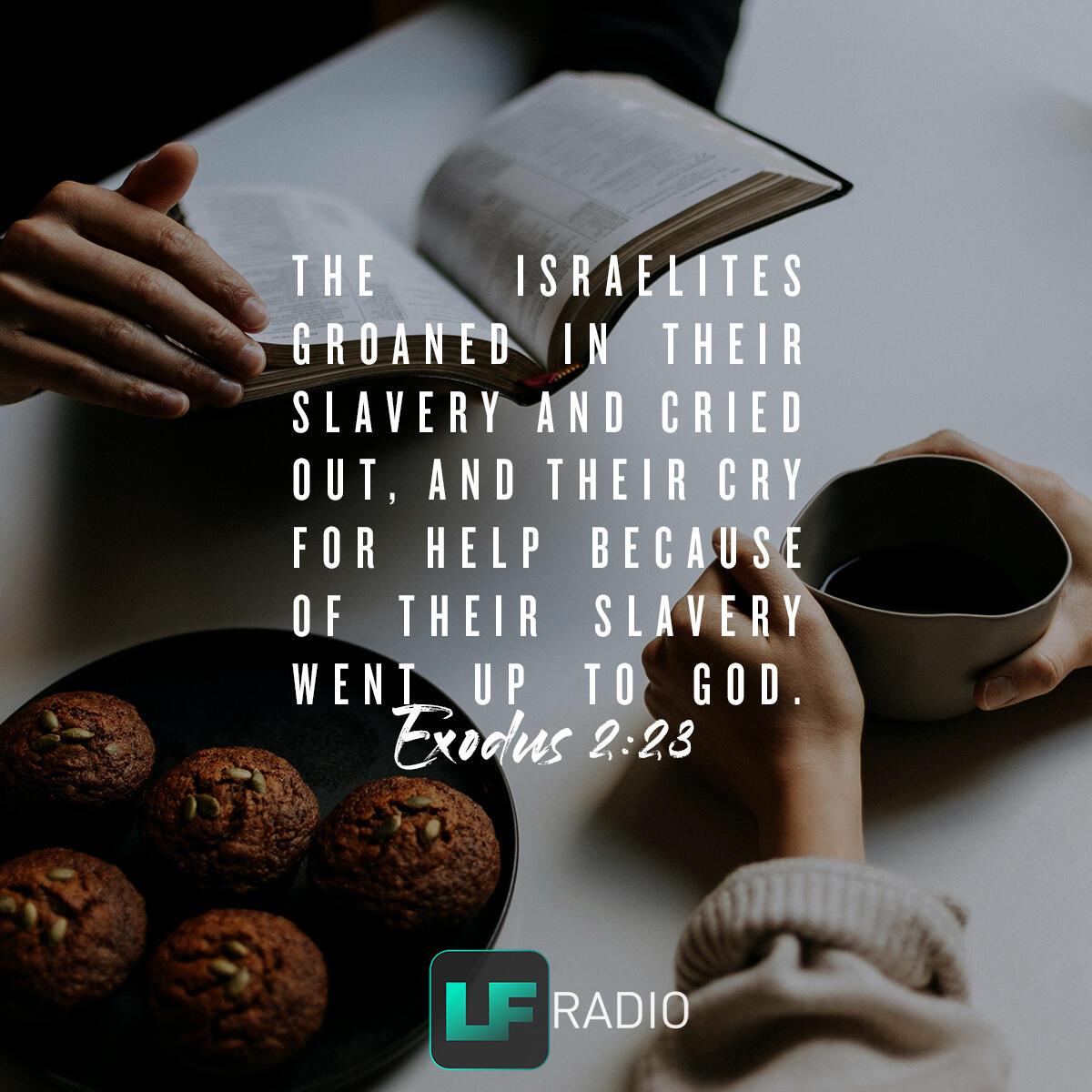 Exodus 2:23 - Verse of the Day
