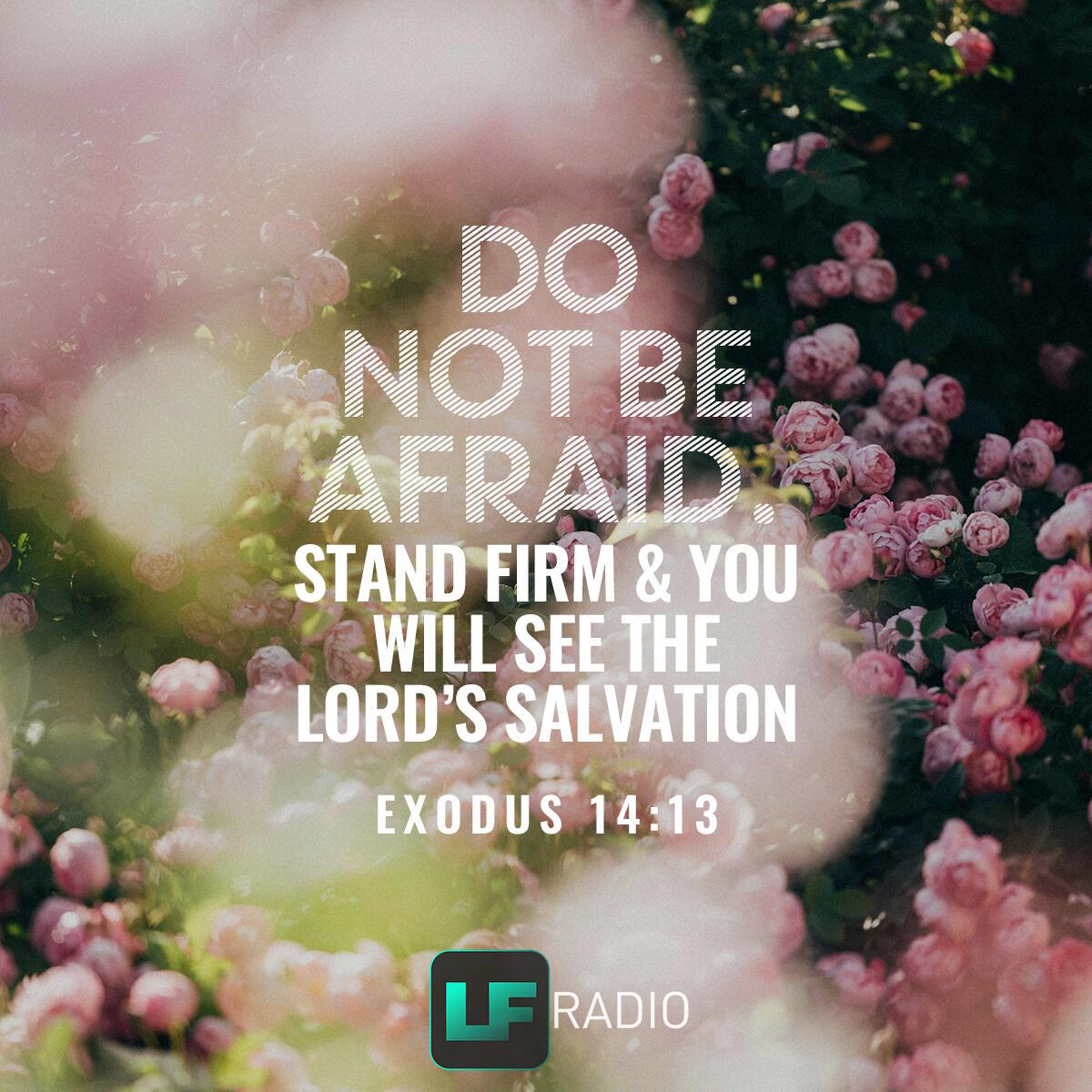 Exodus 14:13 - Verse of the Day