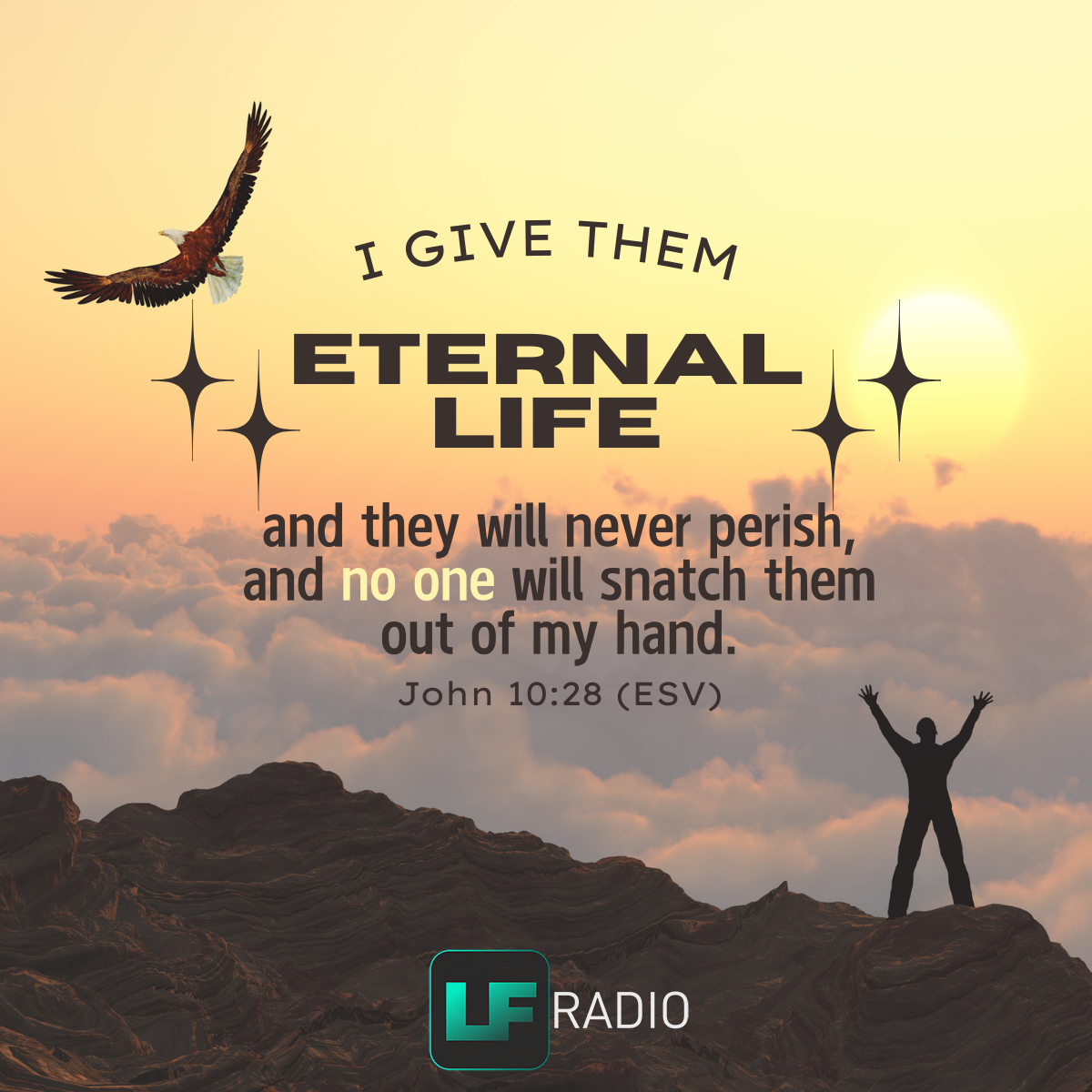 John 10:28 - Verse of the Day