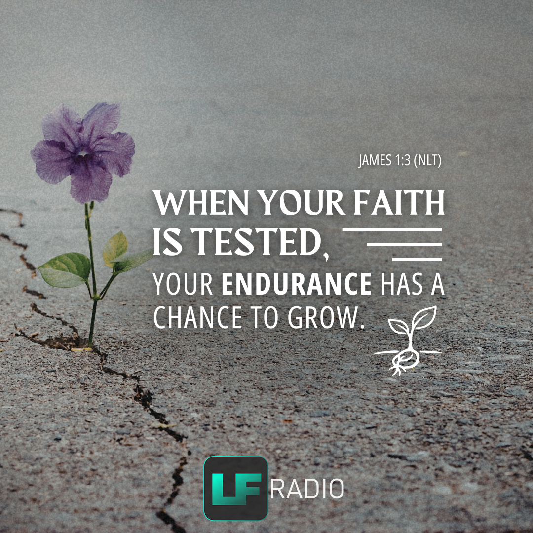 James 1:3