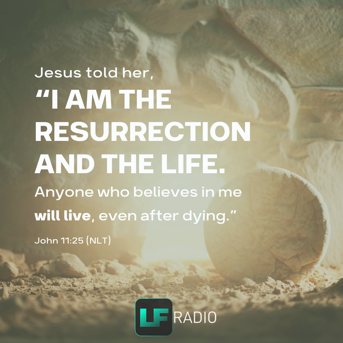 John 11:25 - Verse of the Day